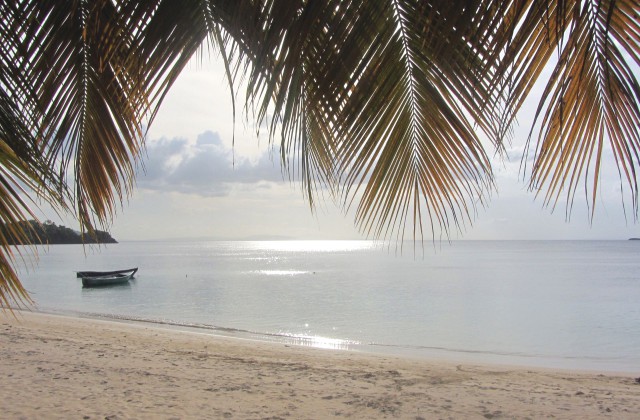 Playa Las Ballenas Las Terrenas