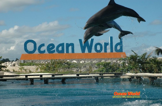 Puerto Plata Ocean World 1