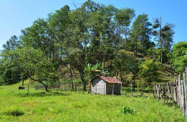 Dominican Republic campo