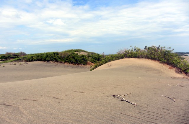 Sand Dunes Bani