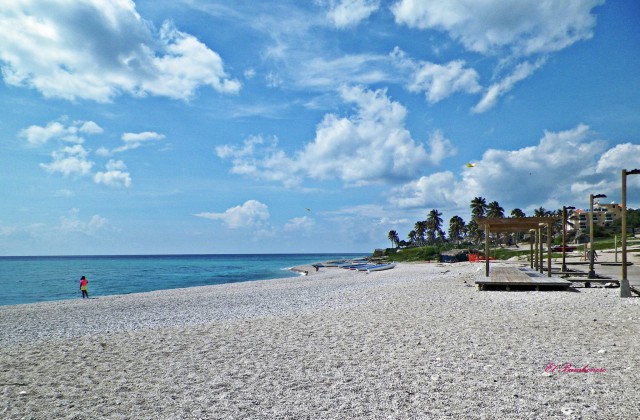 Beach Los Patos Barahona 2