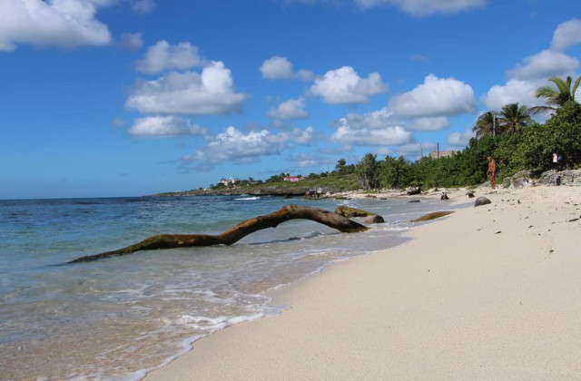 Playa Caleta La Romana