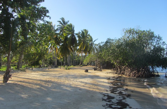 Playa El Portillo Las Terrenas