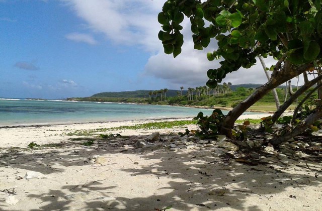 Playa Saladilla Barahona 2