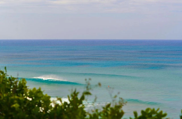 Surf Republica Dominicana