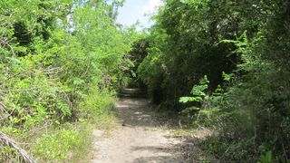 National Park Del Este Dominican Republic