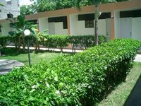 Garden of the Apart-Hotel ATLANTICO - Sosua - Dominican Republic