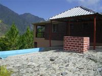 GUAJACA