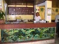 Apart Hotel Madejra Reception Apart Hotel Madejra Reception