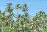 Hotels in Las Terrenas
