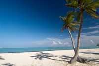 Hotels in Punta Cana