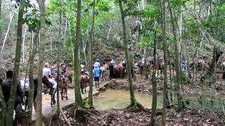 El Limon waterfall horseback