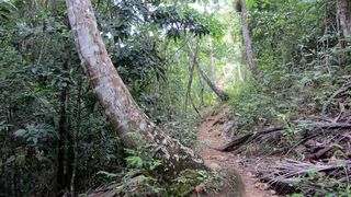 Salto El Limon sentero 1