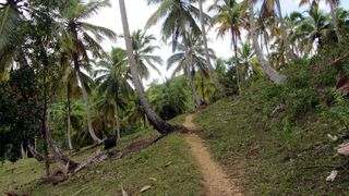 Salto El Limon waterfall trail 2