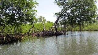 Los Haitises Park