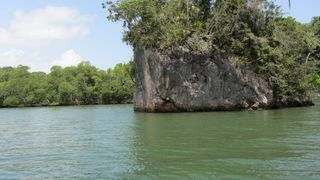 Los Haitises Park 2