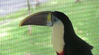 Zoo Santo Domingo 3