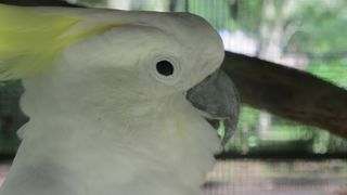 Zoo Santo Domingo 4